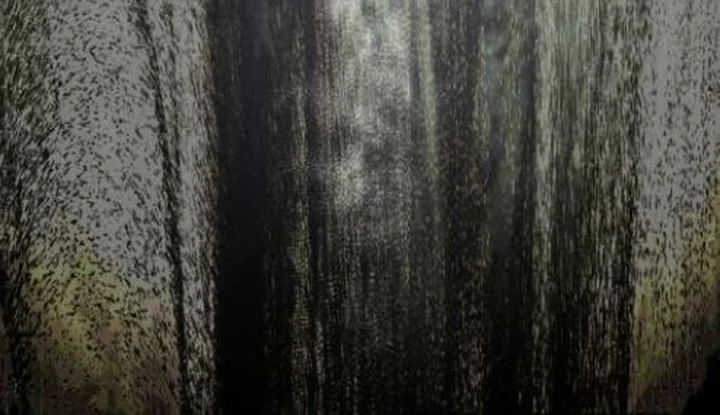 I Was Possessed, but It Became a Ghost Story Chapter 1 - halaman 101