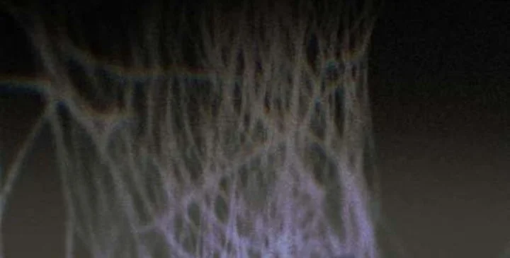 I Was Possessed, but It Became a Ghost Story Chapter 1 - halaman 108