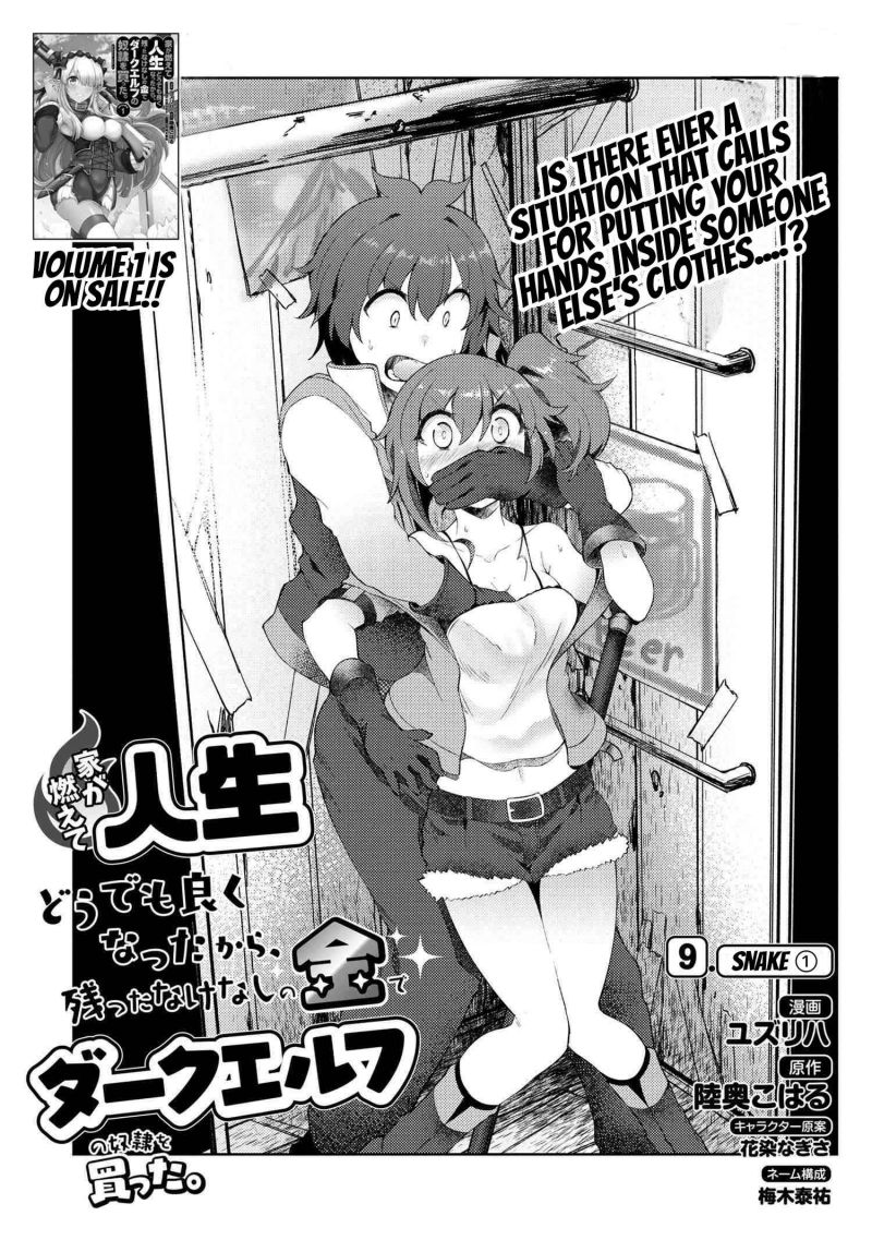 Ie ga Moete Jinsei Dou Demo Yoku Natta kara, Nokotta Nakenashi no Kin de Dark Elf no Dorei o Katta Chapter 9.1 - halaman 2