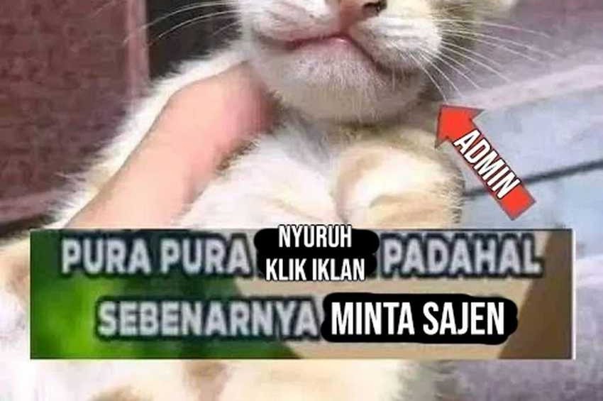 I’m A Peerless Master Chapter 71 - halaman 47