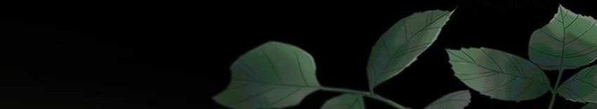 I’m Going to Steal Again Today Chapter 50 - halaman 40