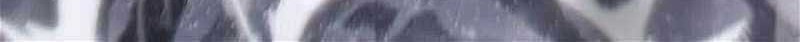 I’m Really Not The Demon God’s Lackey Chapter 127 - halaman 17