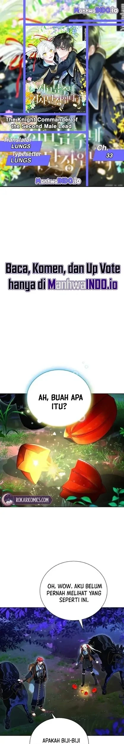 I’m the Commander of the Second Male Lead’s Knights Chapter 33 - halaman 1