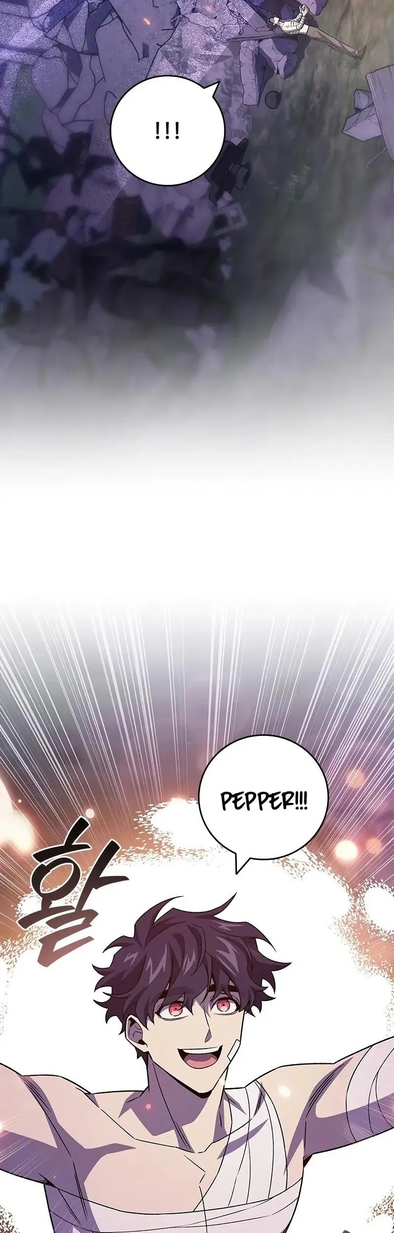 Infinite Level Up in Murim Chapter 249 - halaman 31