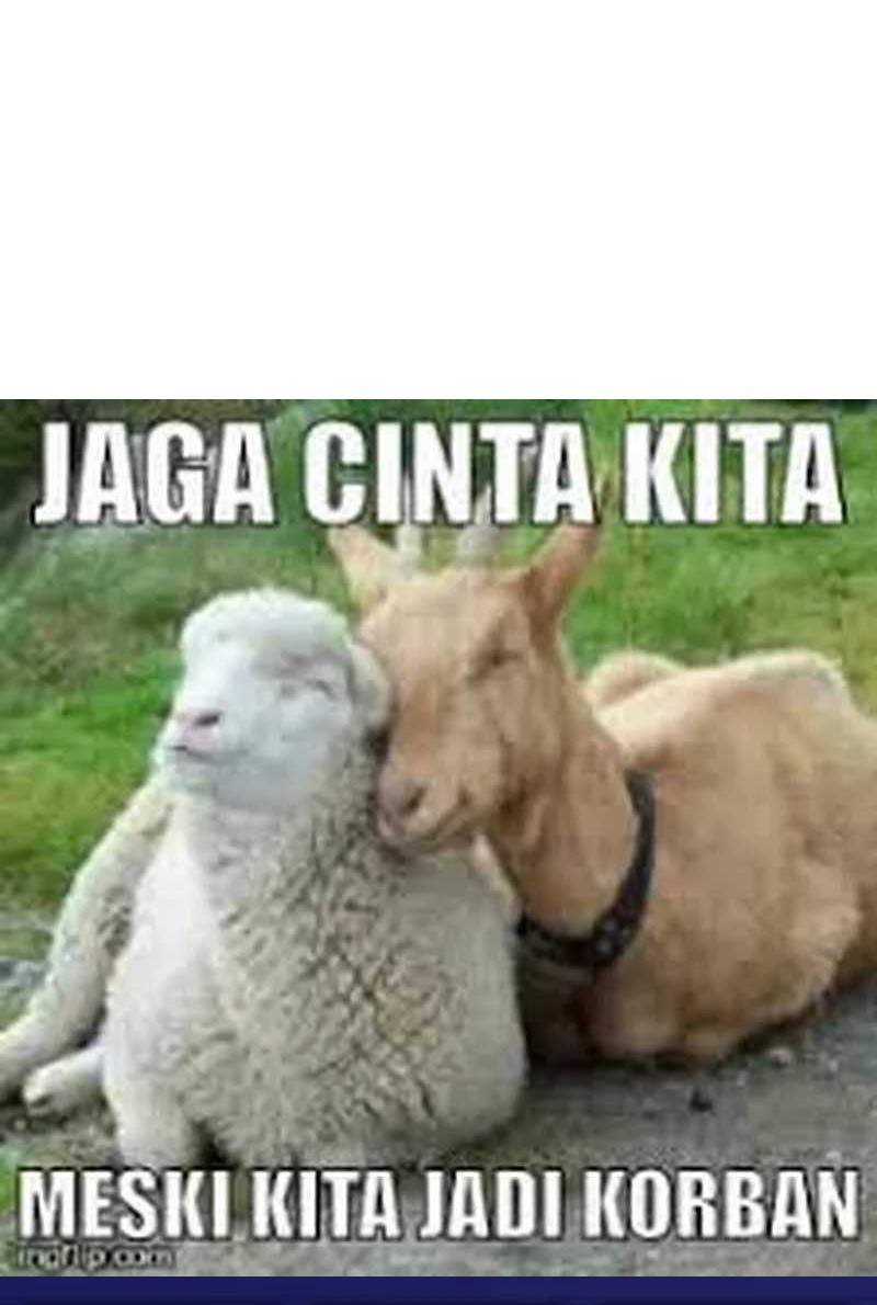 Insector Chapter 15 - halaman 96