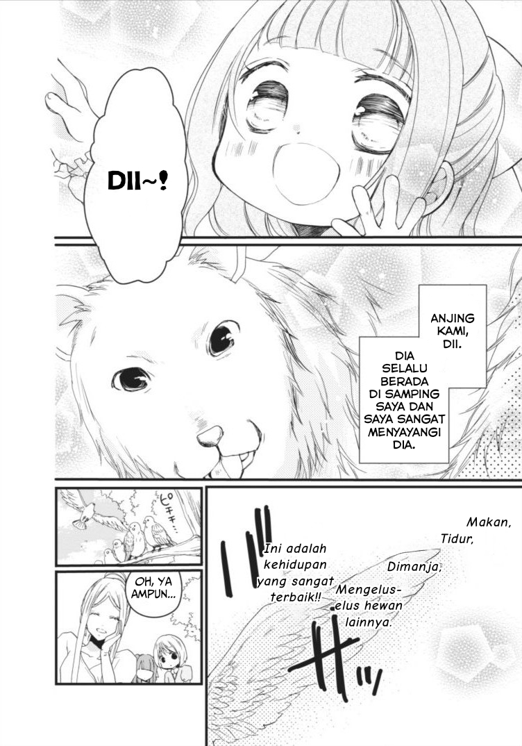 Isekai de Mofumofu Nadenade suru Tame ni Ganbattemasu. Chapter 1.1 - halaman 13