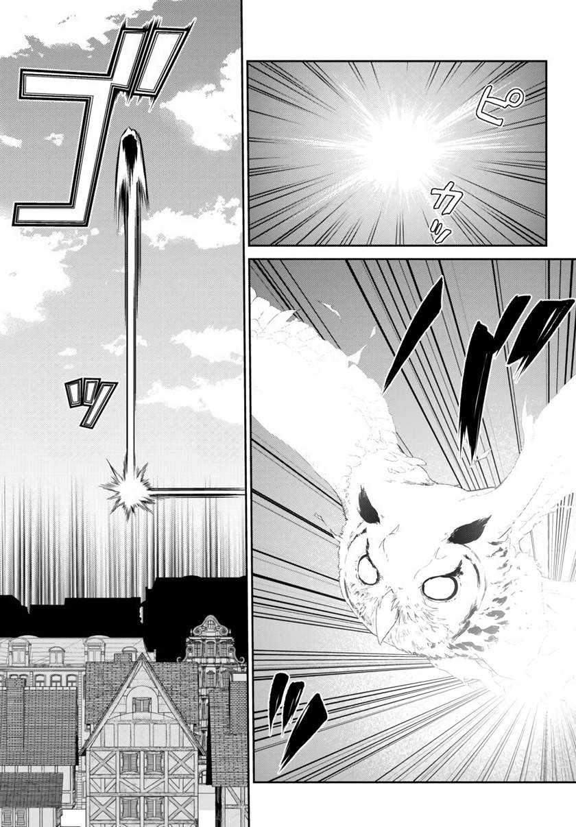 Jingai Hime Sama, Hajimemashita – Free Life Fantasy Chapter 9.2 - halaman 12