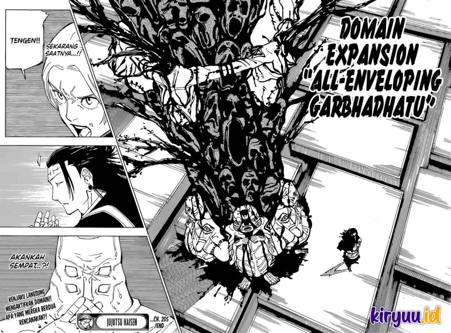 Jujutsu Kaisen Chapter 205 - halaman 17