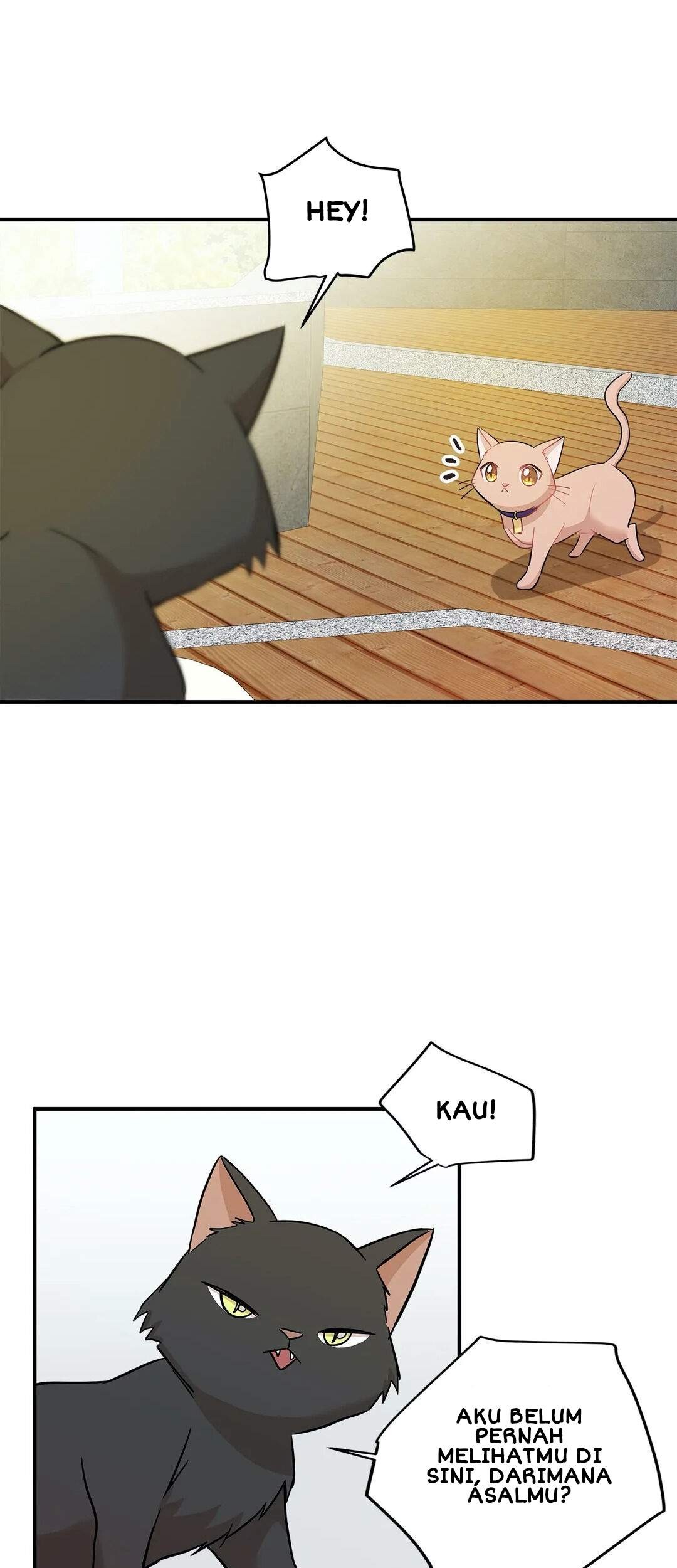 Just for a Meowment Chapter 21 - halaman 18