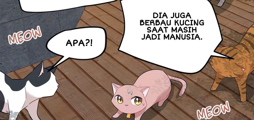 Just for a Meowment Chapter 21 - halaman 23