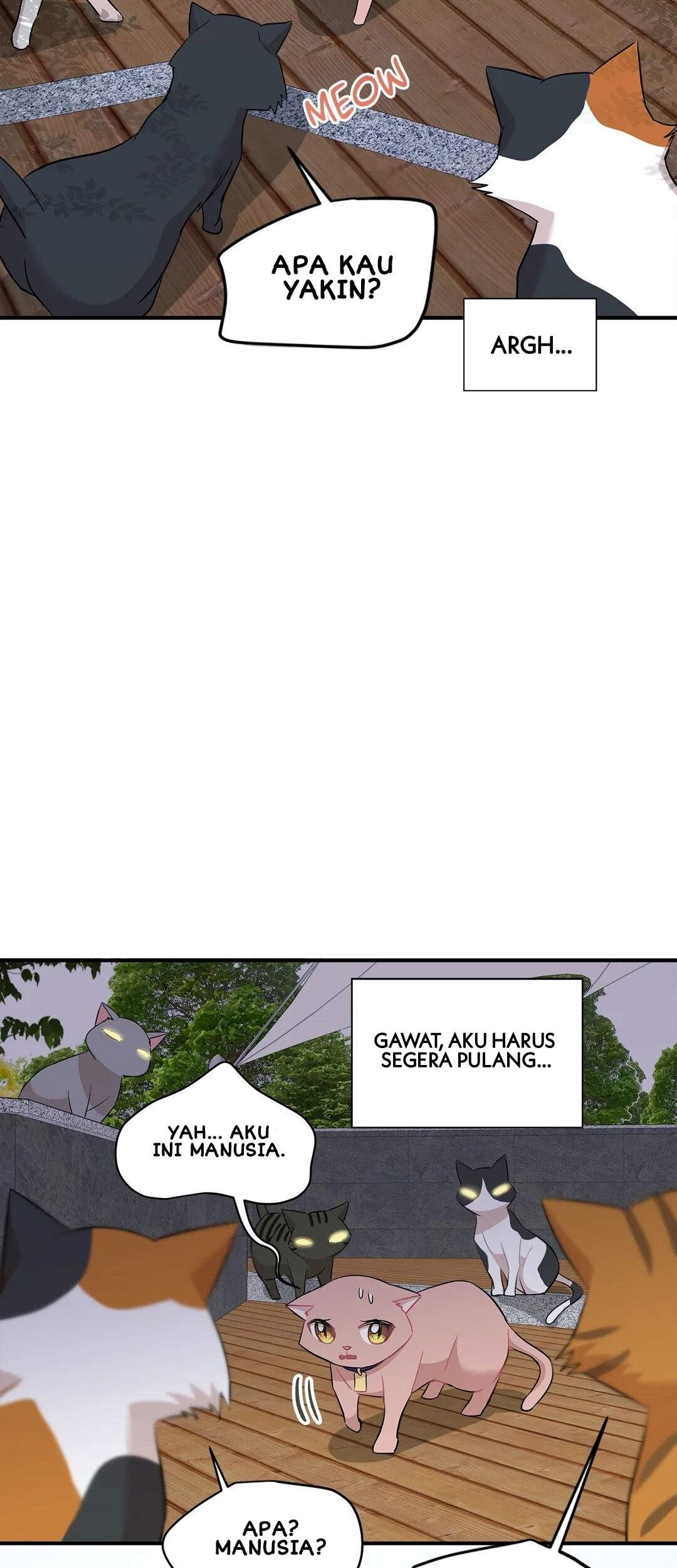 Just for a Meowment Chapter 21 - halaman 24