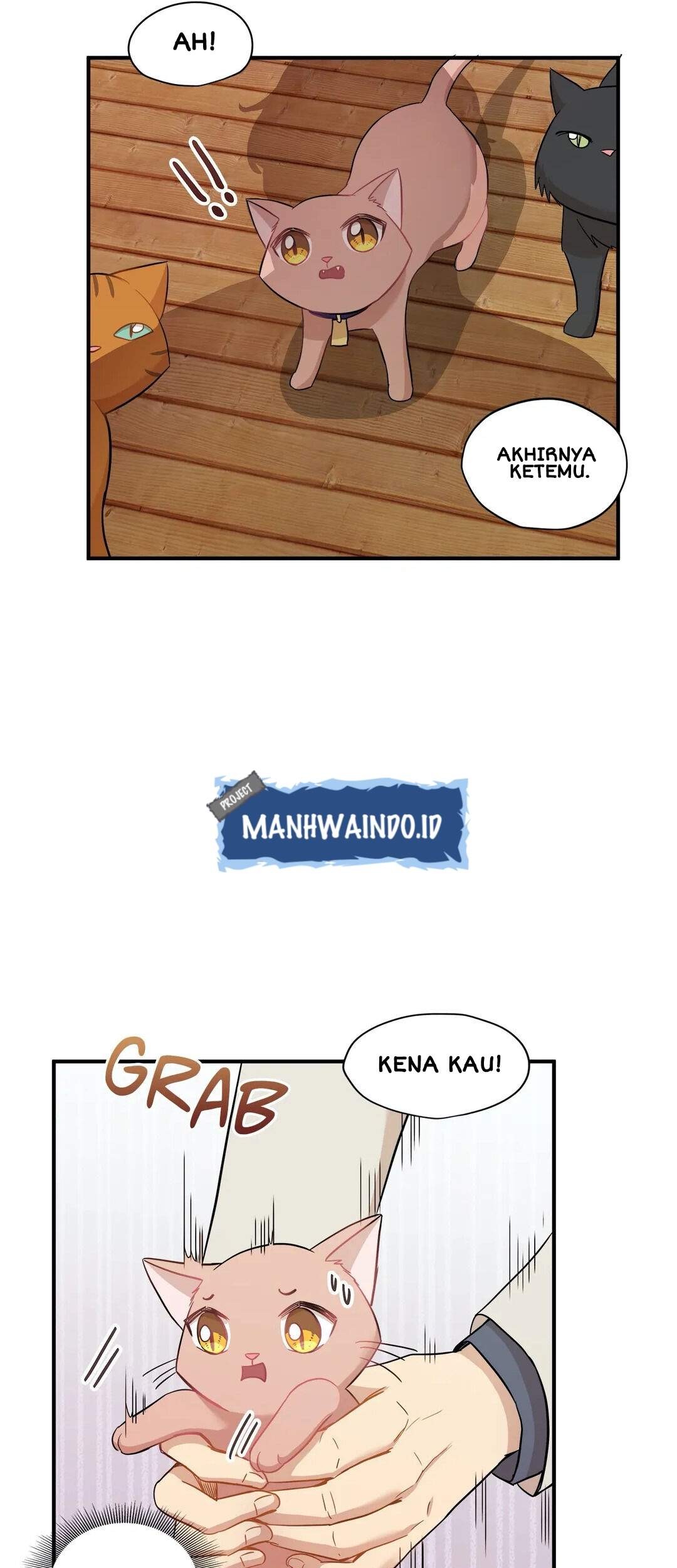 Just for a Meowment Chapter 21 - halaman 31