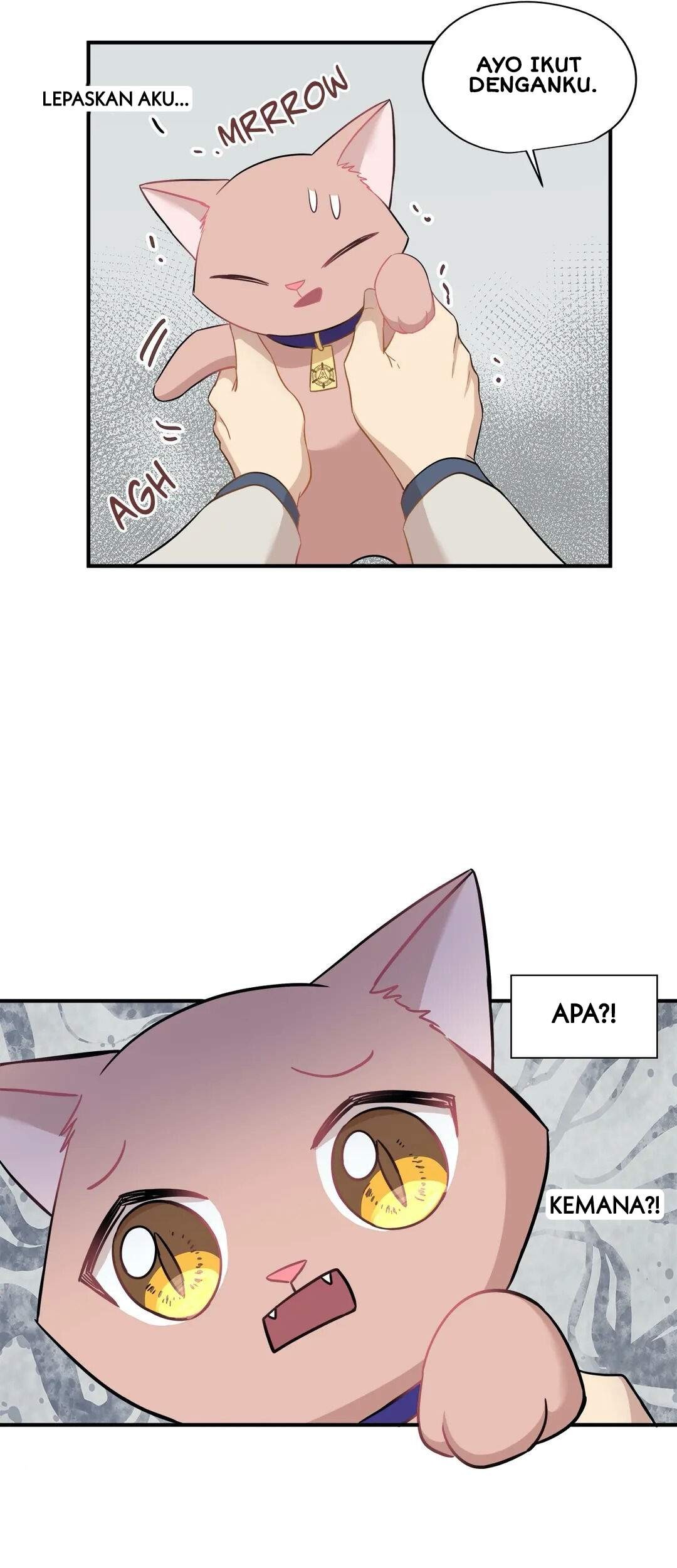 Just for a Meowment Chapter 21 - halaman 35