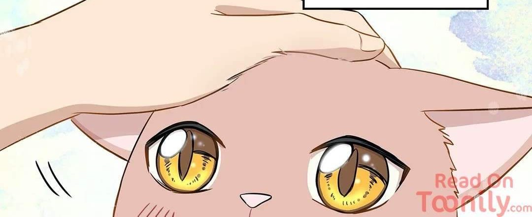 Just for a Meowment Chapter 3 - halaman 5