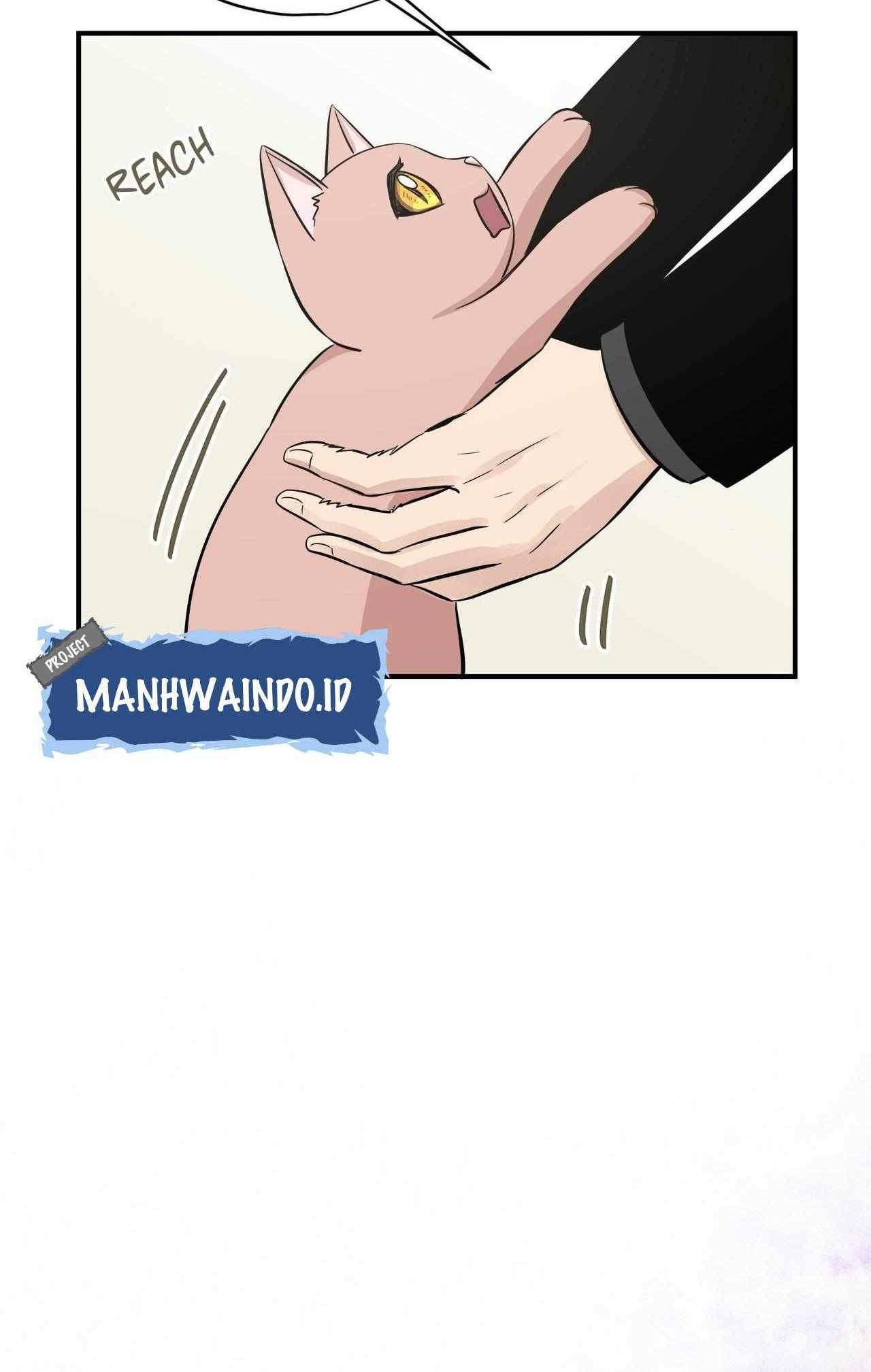 Just for a Meowment Chapter 44 - halaman 61