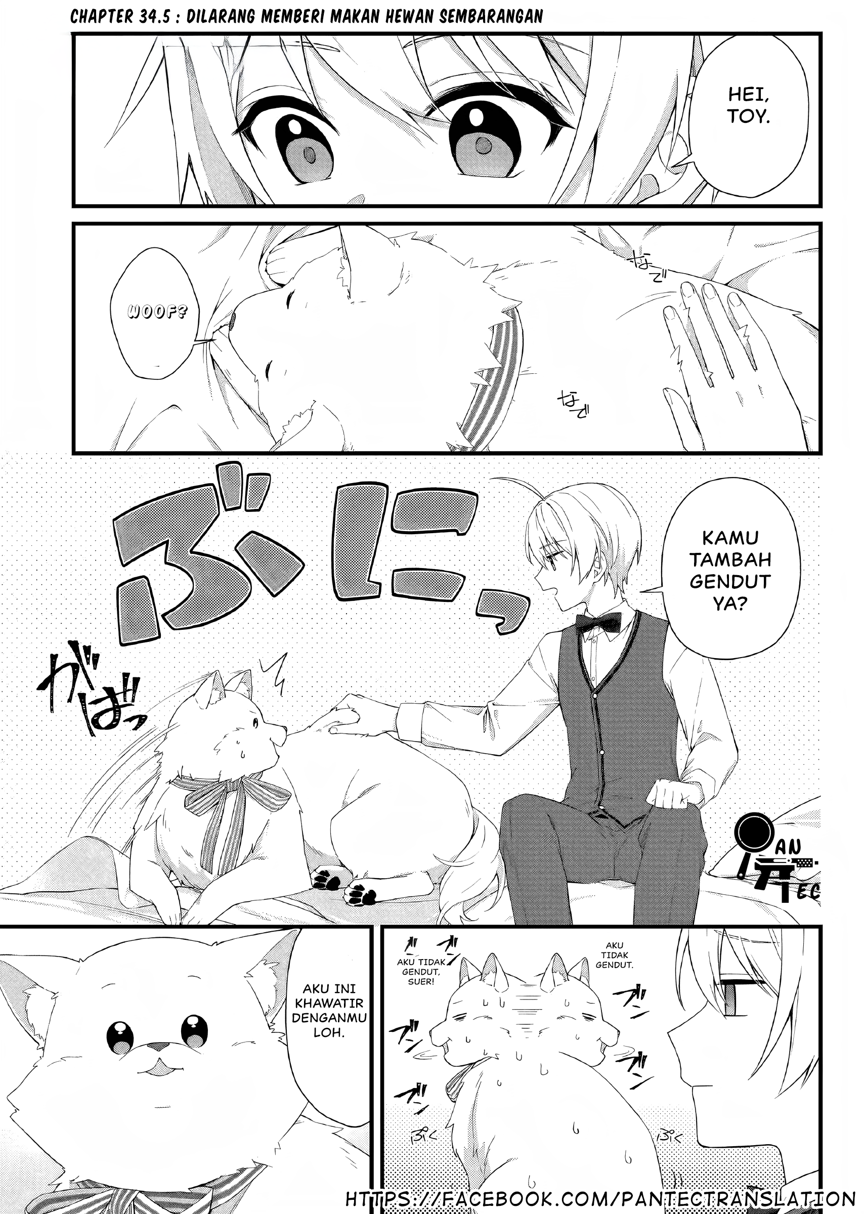 Kagonashi Reijou no Chiisana Mura: Saa, Ryouchi Unei wo Hajimemashou! Chapter 34.5 - halaman 2