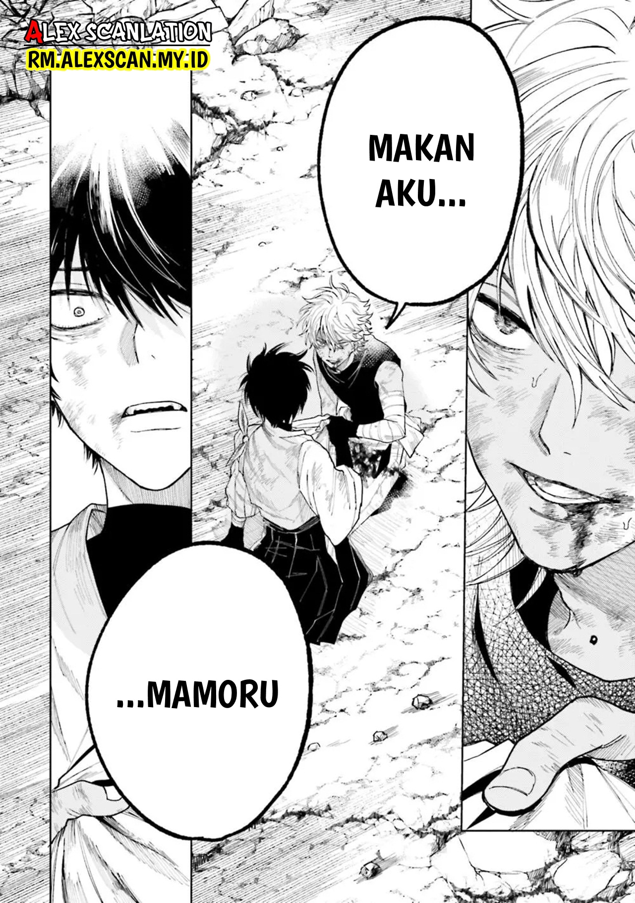 Kamen Rider W: Fuuto Tantei Chapter 19 - halaman 8