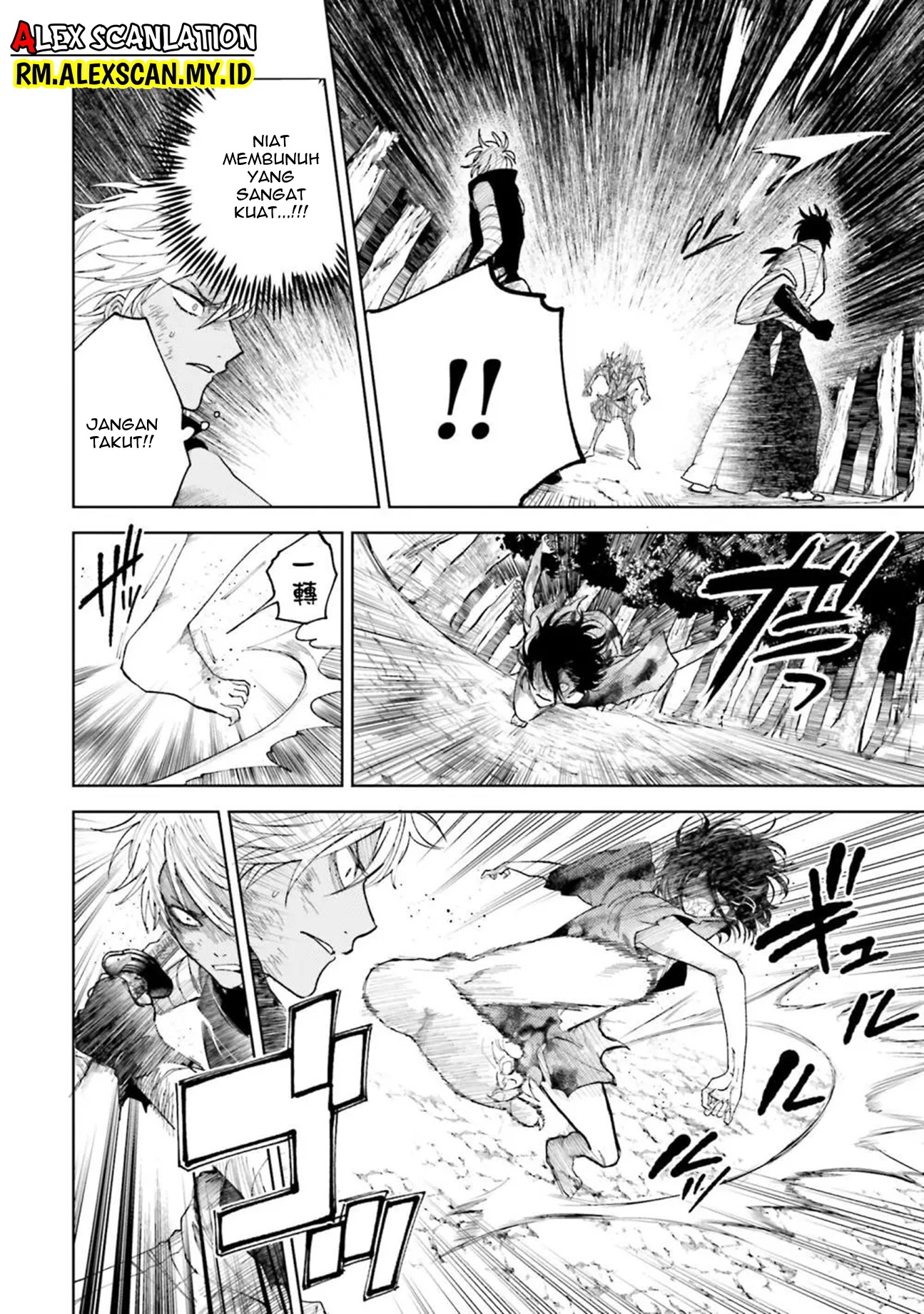 Kamen Rider W: Fuuto Tantei Chapter 20 - halaman 12