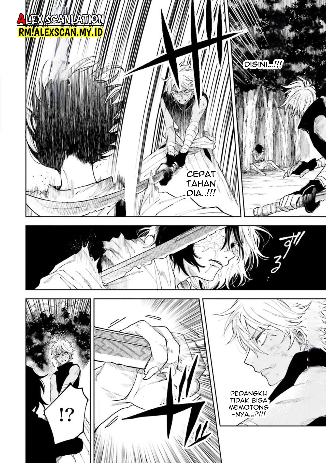 Kamen Rider W: Fuuto Tantei Chapter 20 - halaman 18