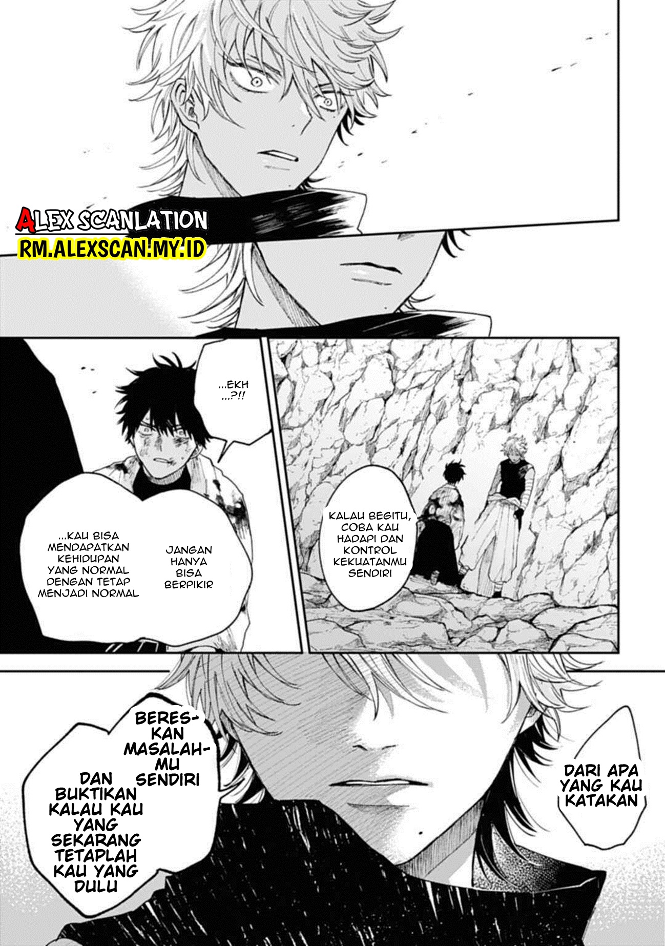 Kamen Rider W: Fuuto Tantei Chapter 24 - halaman 17