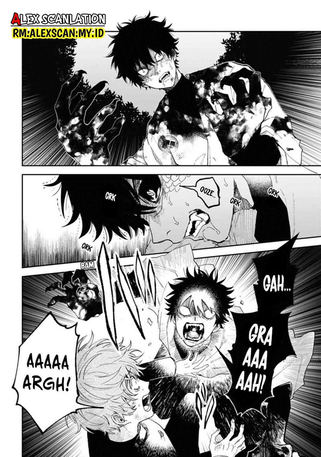 Kamen Rider W: Fuuto Tantei Chapter 27 - halaman 8
