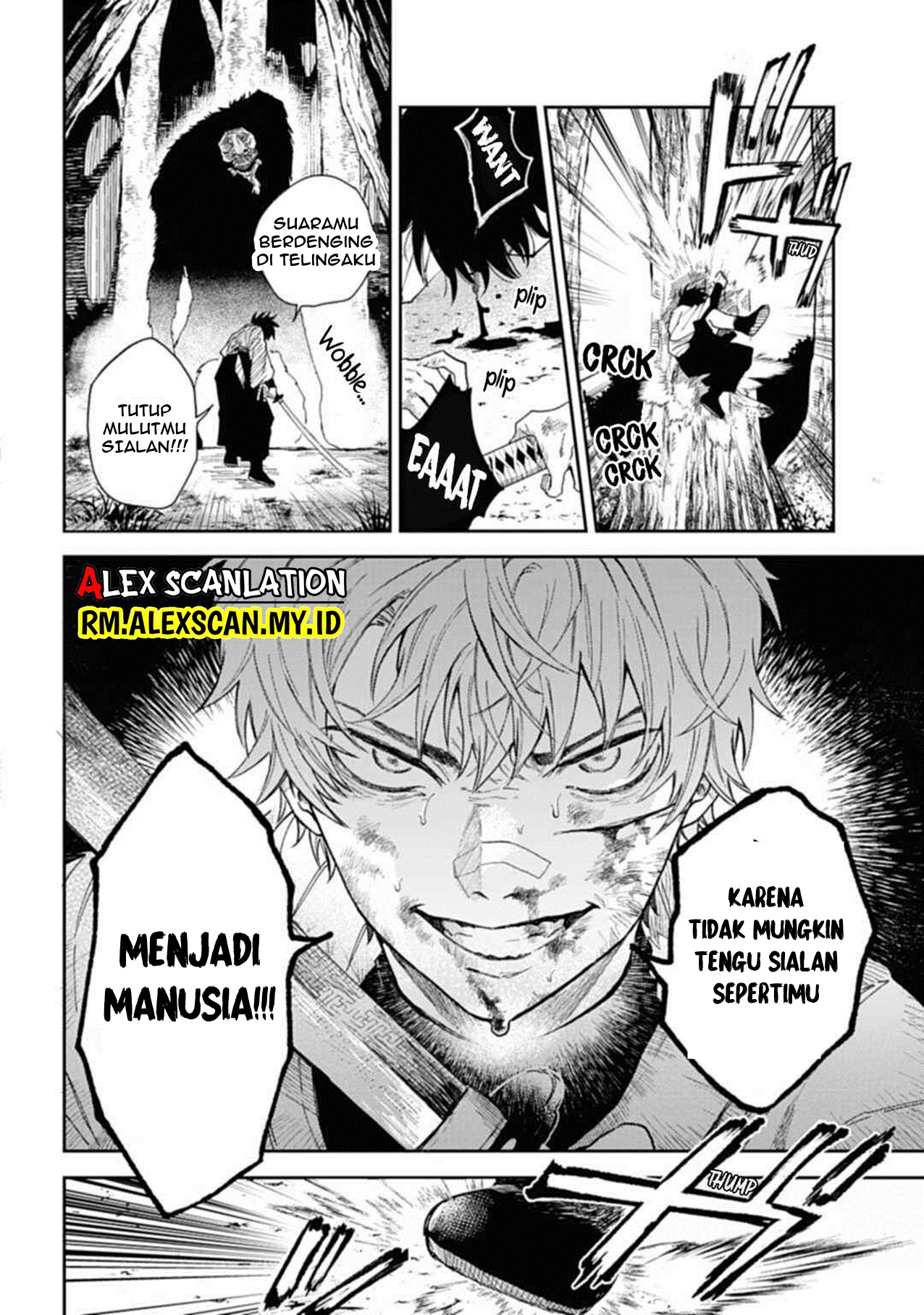 Kamen Rider W: Fuuto Tantei Chapter 29 - halaman 8
