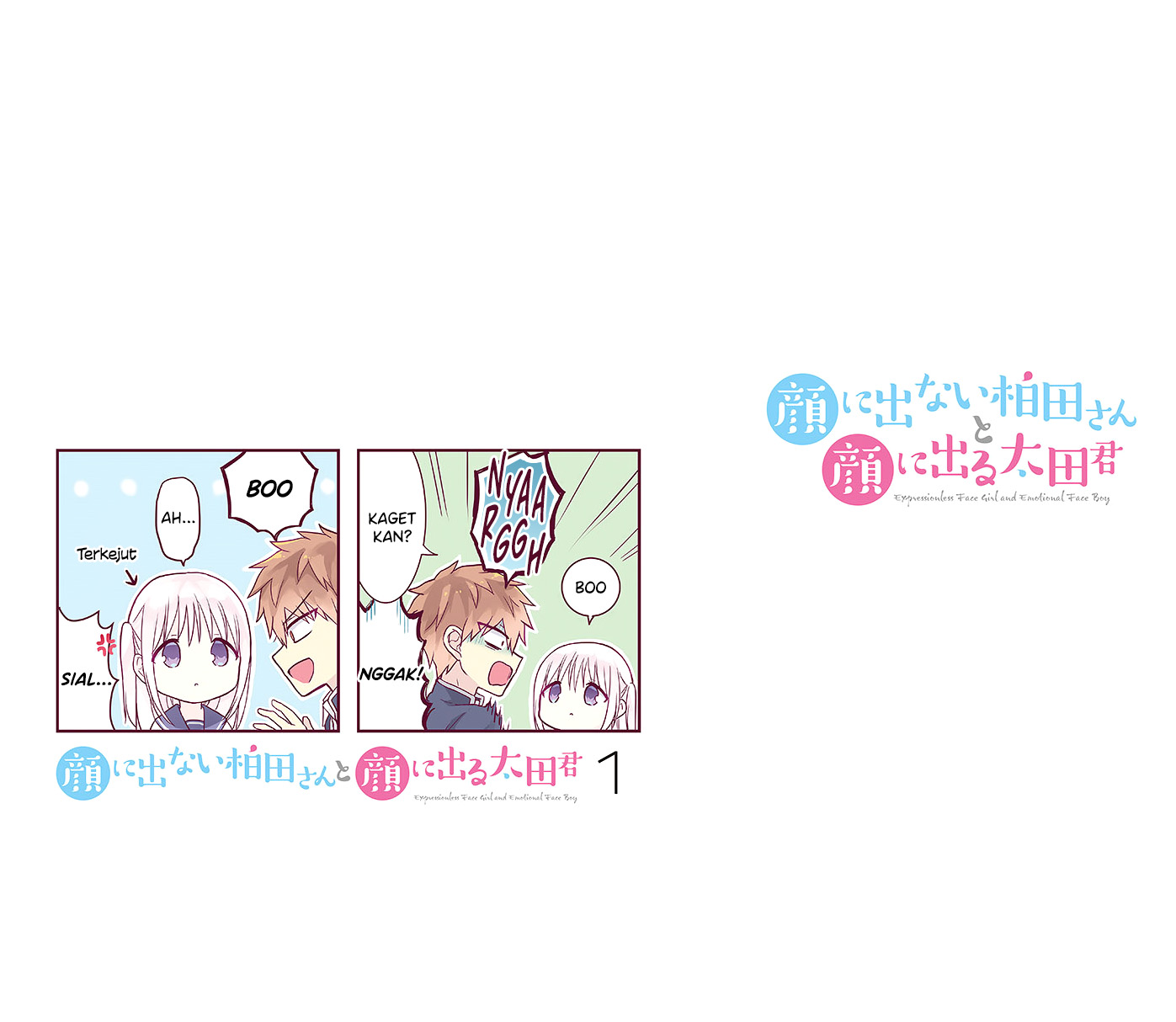 Kao ni Denai Kashiwada-san to Kao ni Deru Oota-kun Chapter 13.5 - halaman 11