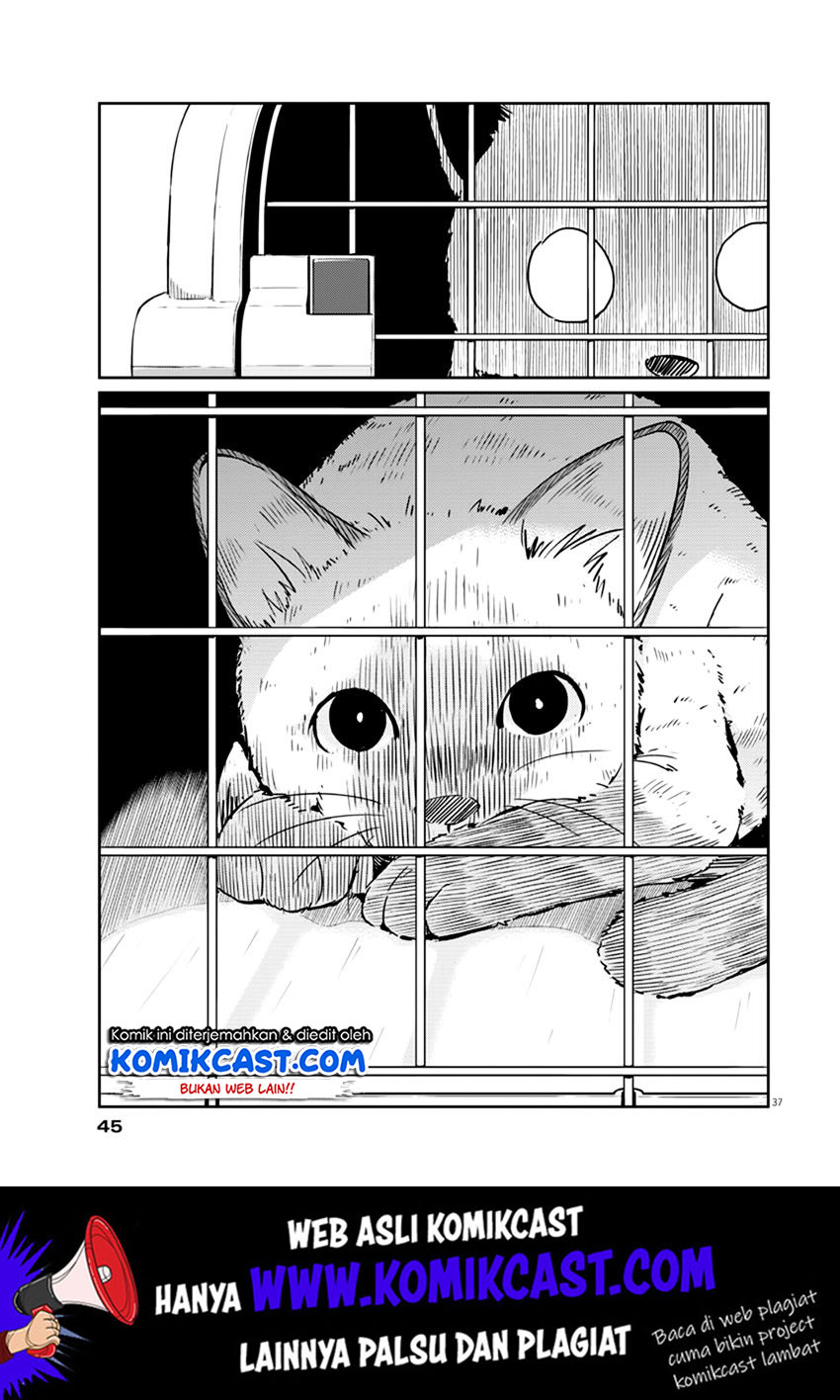 Kekkon suru tte, Hontou desu ka Chapter 1 - halaman 37