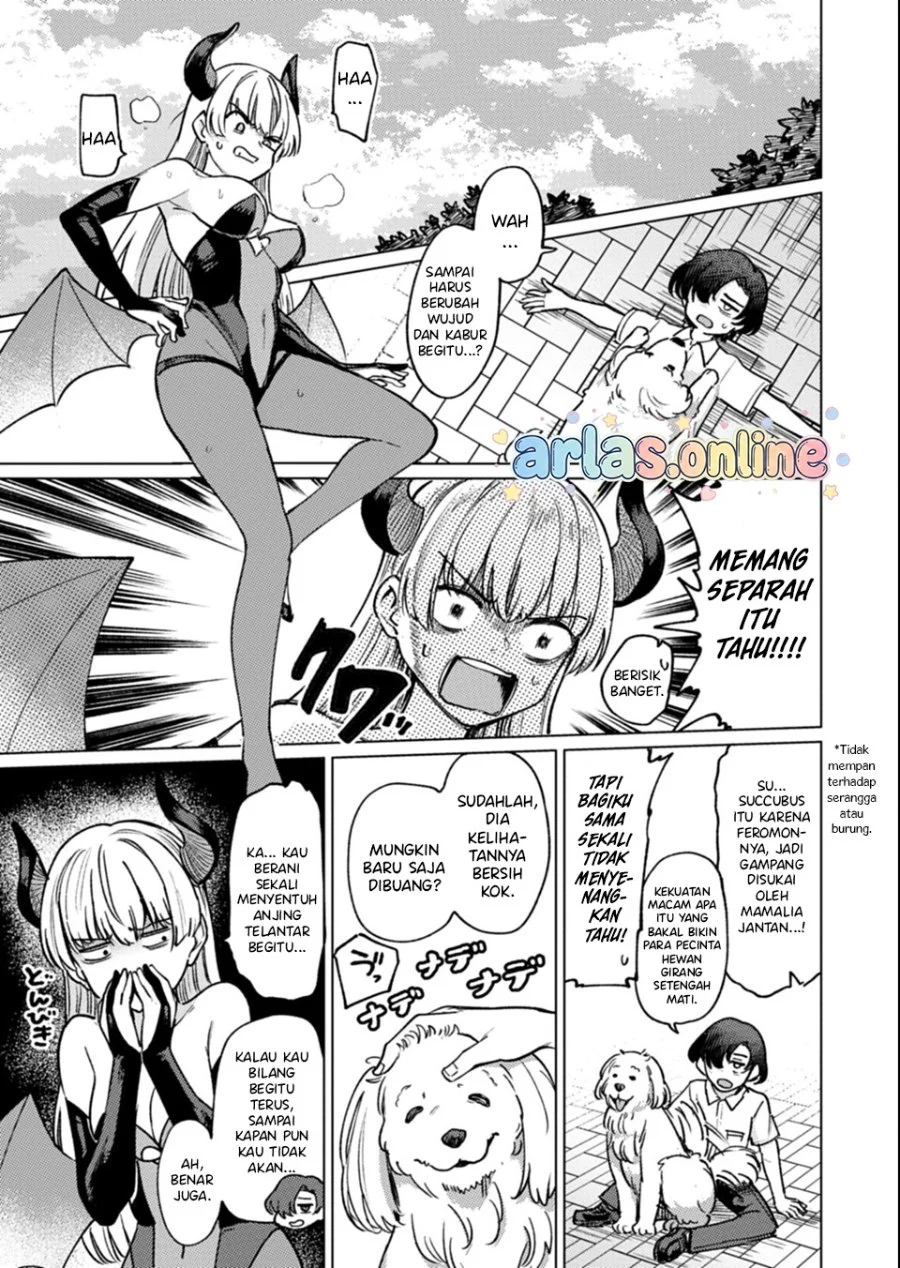 Keppeki sakyubasu wa ××× ga o kirai! Chapter 10 - halaman 4