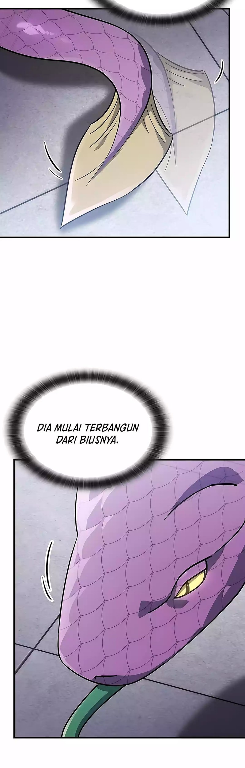 Kim Ohjin's Adventures with Strange Animals Chapter 21 - halaman 25