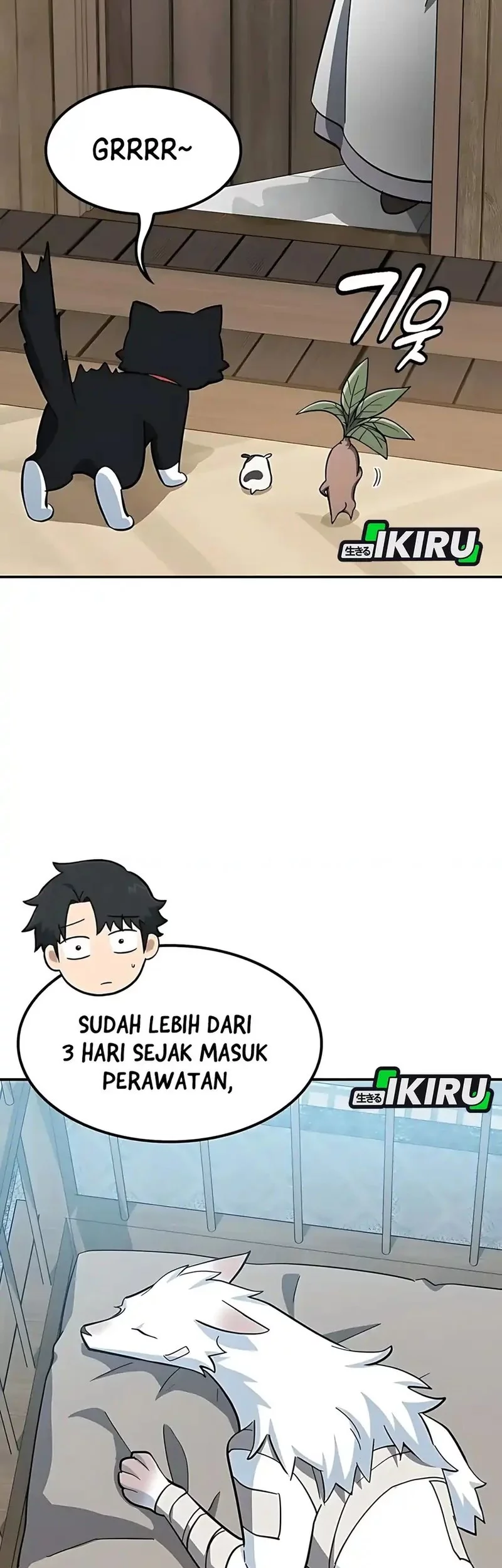 Kim Ohjin's Adventures with Strange Animals Chapter 32 - halaman 37