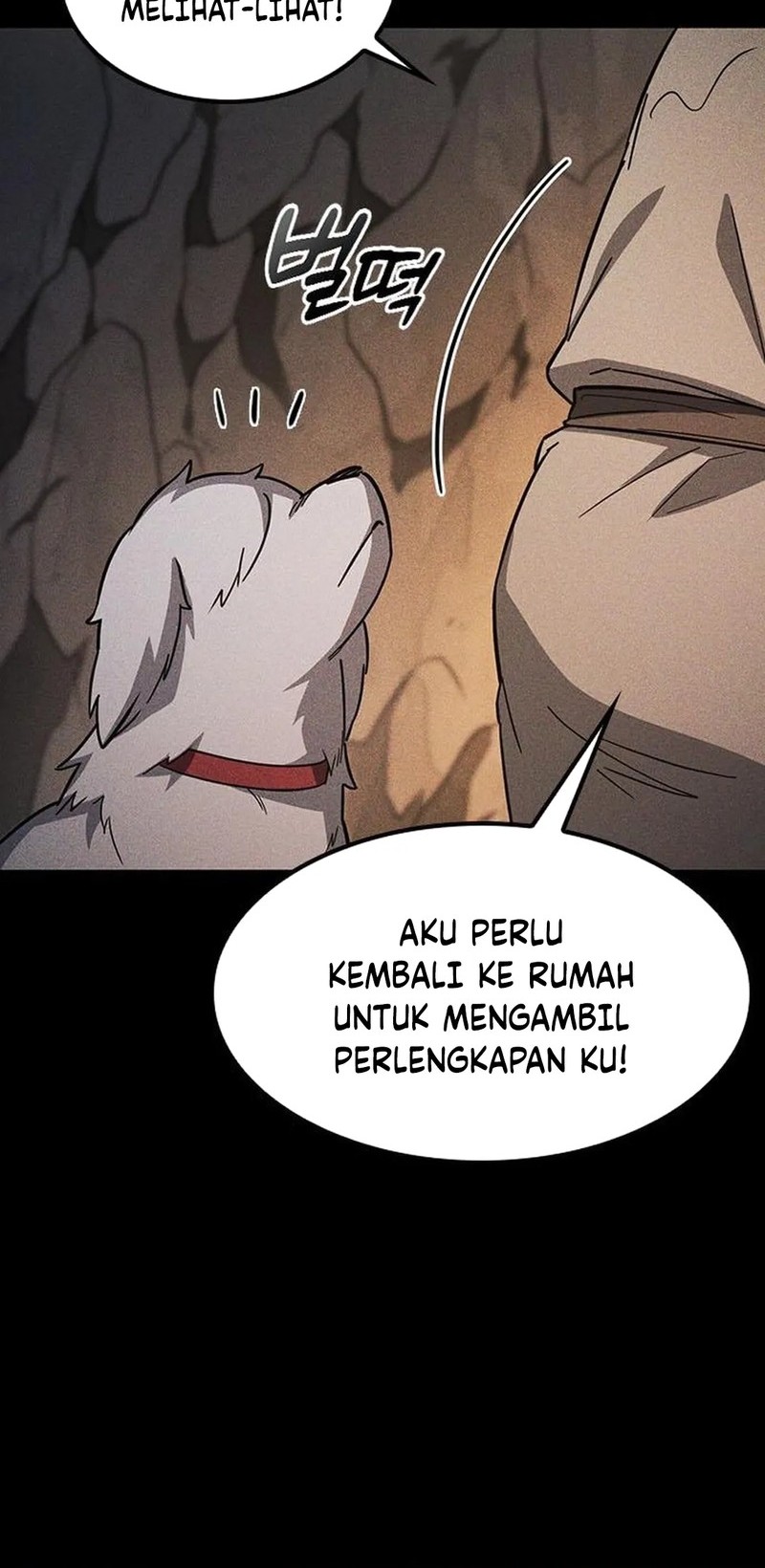 Kim Ohjin's Adventures with Strange Animals Chapter 6 - halaman 16