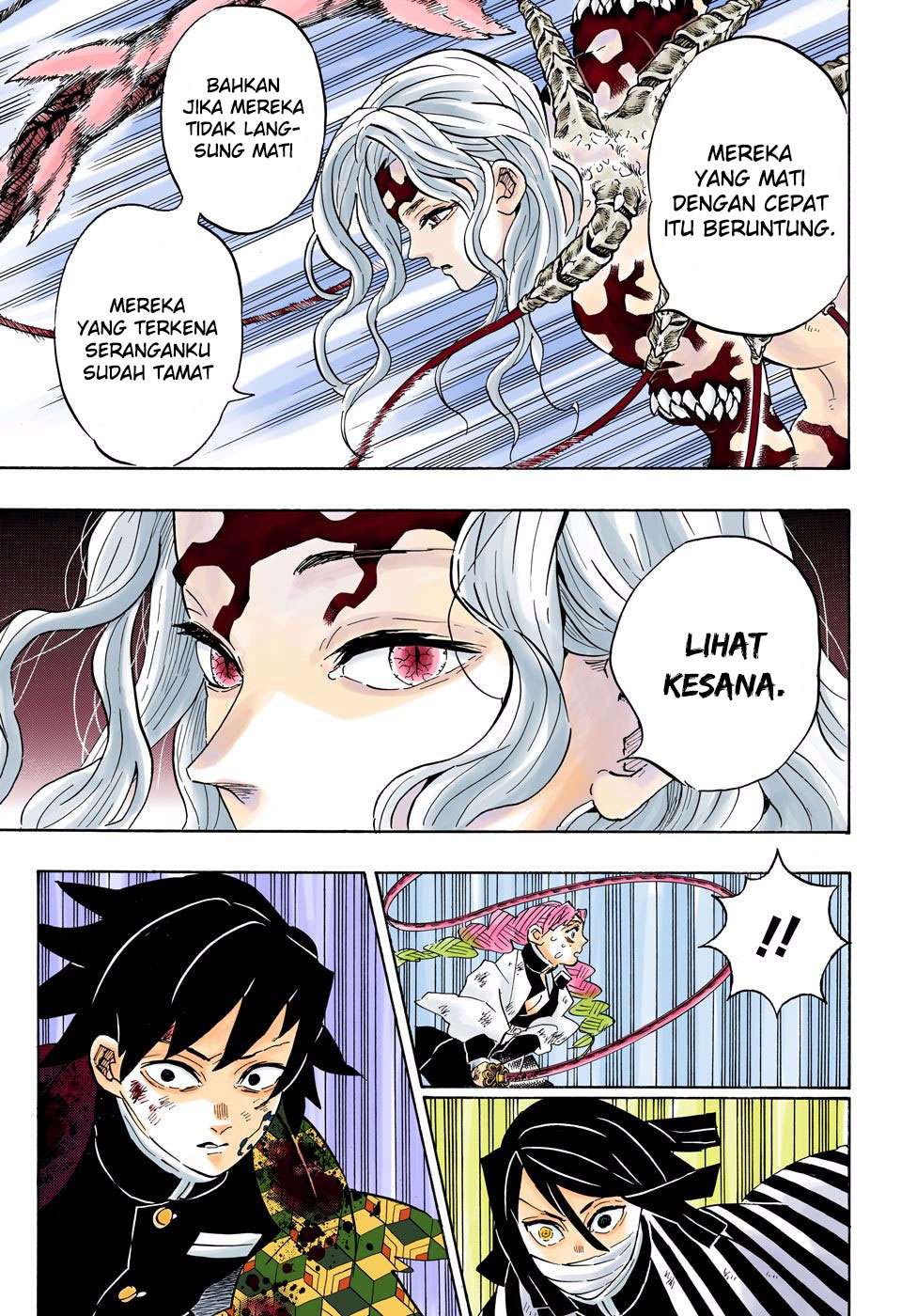 Kimetsu no Yaiba Chapter 184.5 - halaman 17