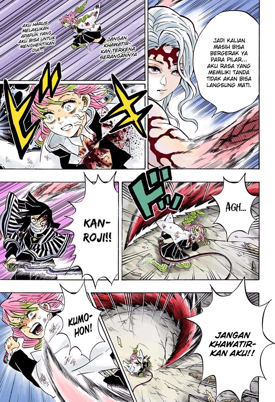 Kimetsu no Yaiba Chapter 185.5 - halaman 12
