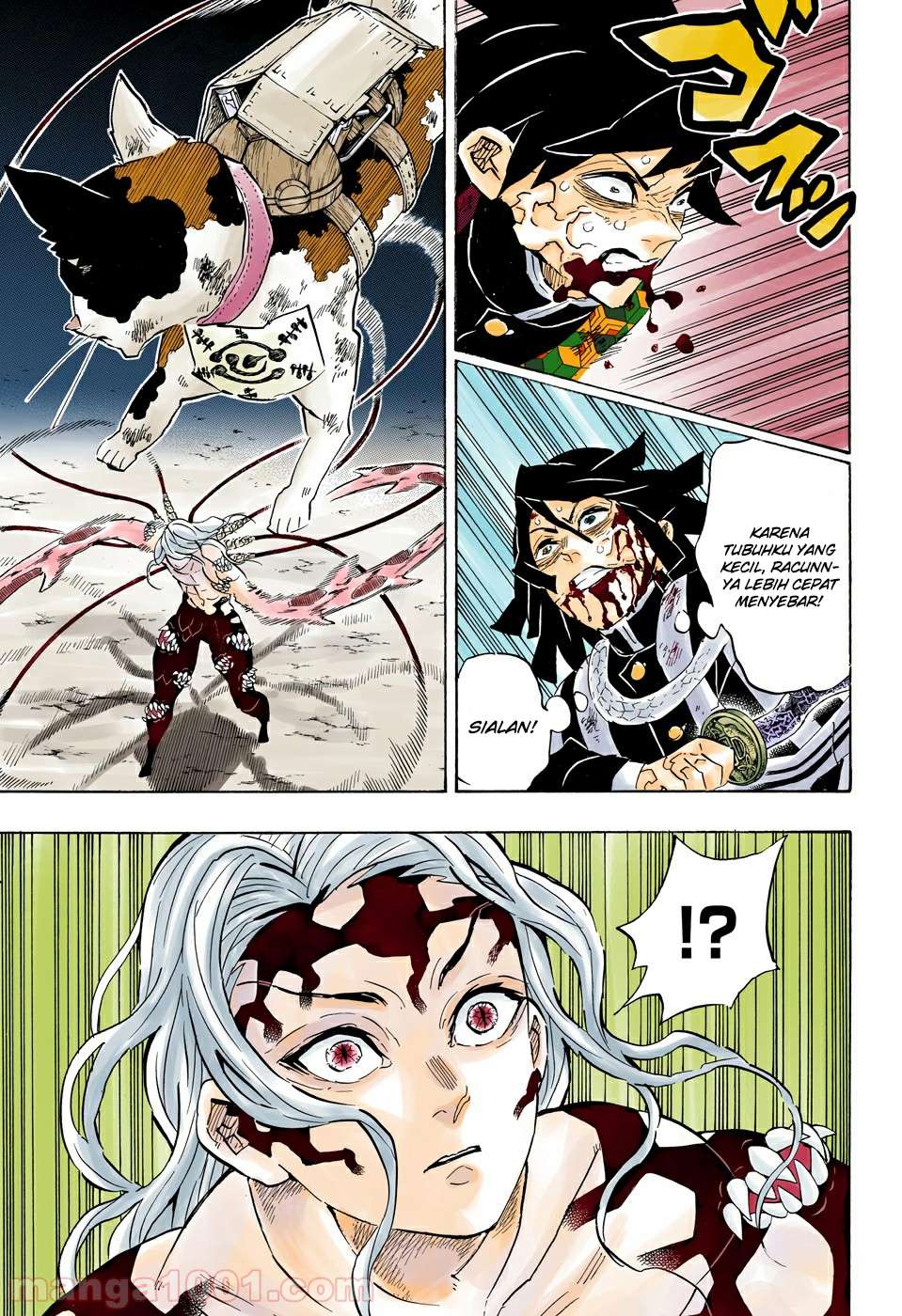 Kimetsu no Yaiba Chapter 189.5 - halaman 13