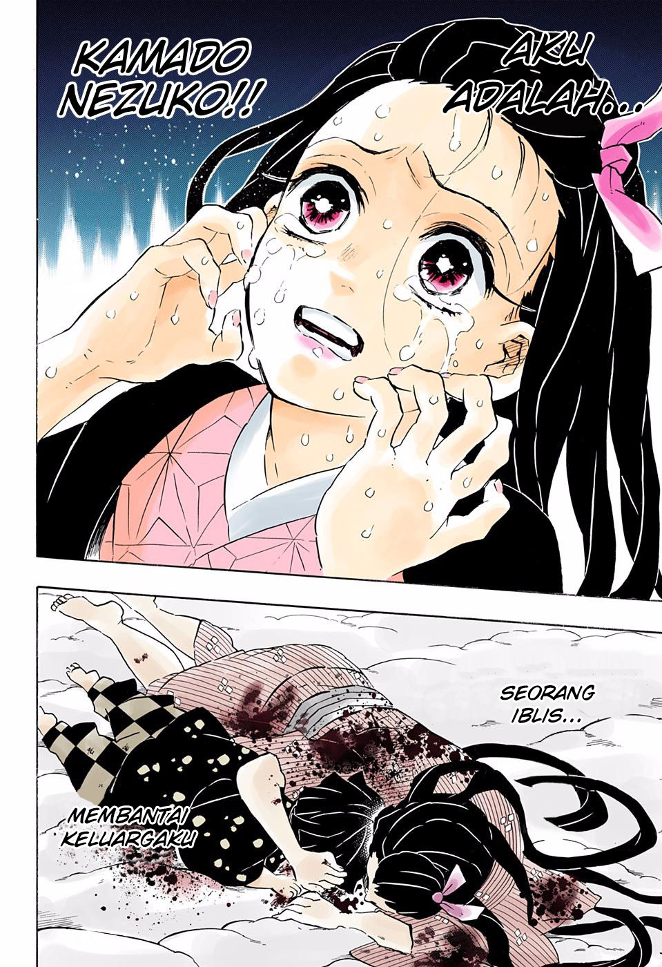 Kimetsu no Yaiba Chapter 196.5 - halaman 13
