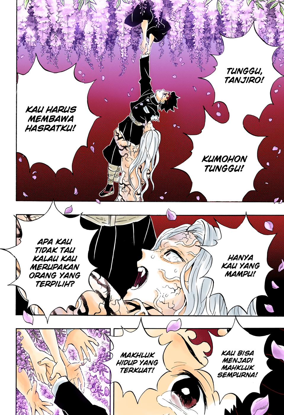 Kimetsu no Yaiba Chapter 203.5 - halaman 13