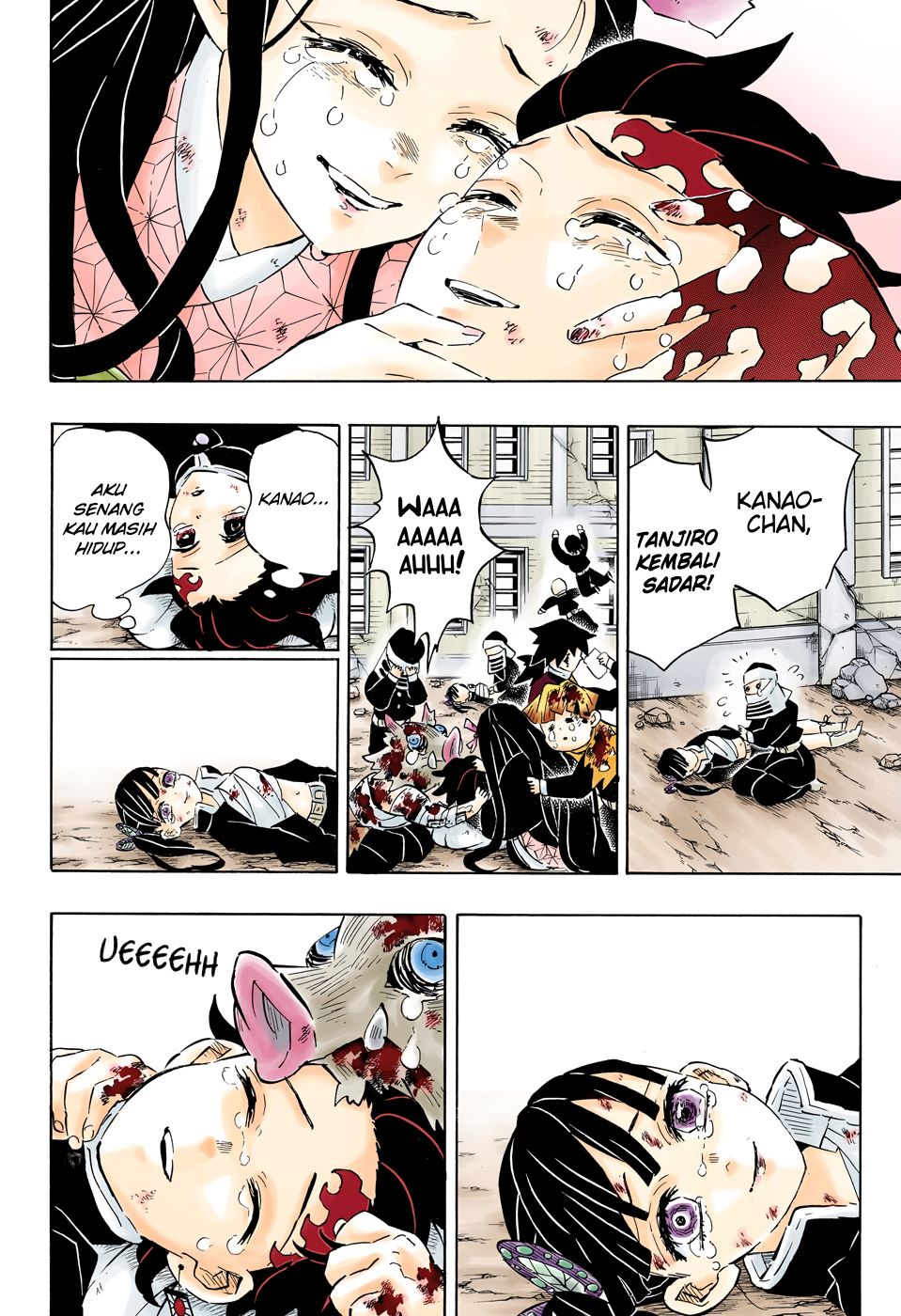 Kimetsu no Yaiba Chapter 203.5 - halaman 19