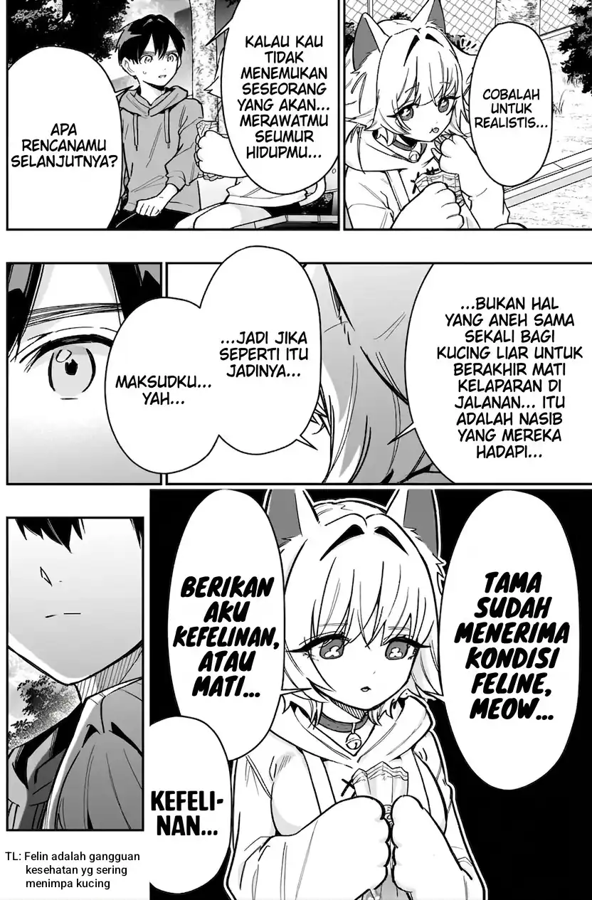 Kimi no Koto ga Dai Dai Dai Dai Daisuki na 100-ri no Kanojo Chapter 141 - halaman 13