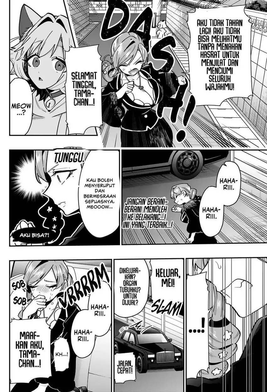 Kimi no Koto ga Dai Dai Dai Dai Daisuki na 100-ri no Kanojo Chapter 147 - halaman 13