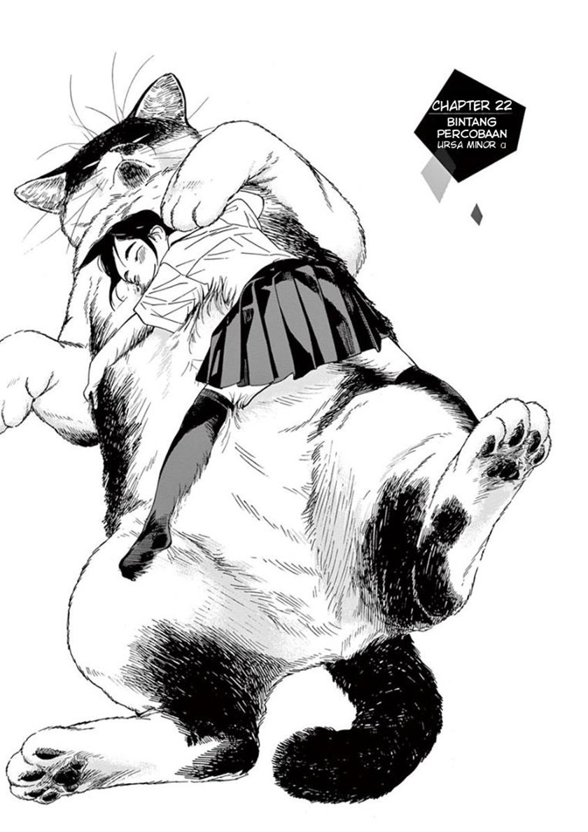 Kimi wa Houkago Insomnia Chapter 22 - halaman 1