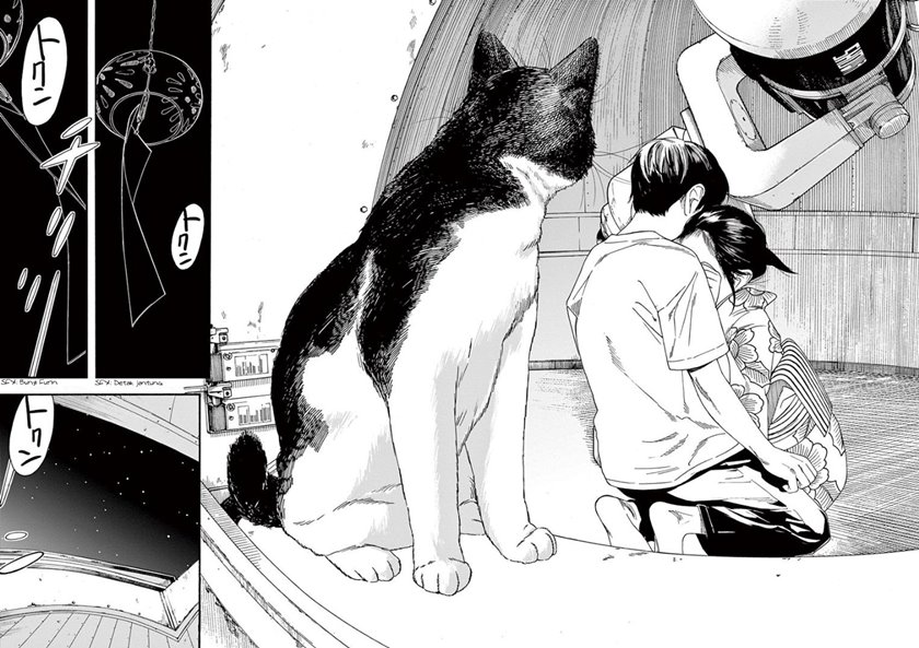 Kimi wa Houkago Insomnia Chapter 27 - halaman 2
