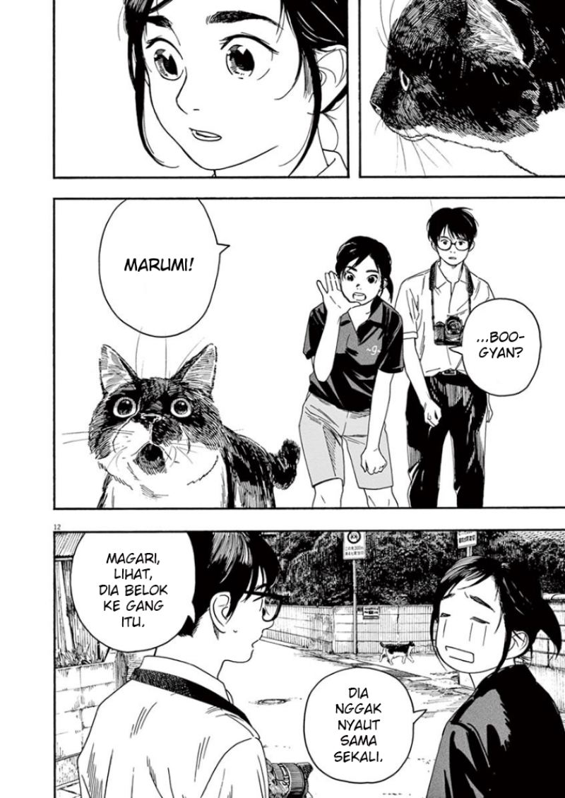 Kimi wa Houkago Insomnia Chapter 39 - halaman 13