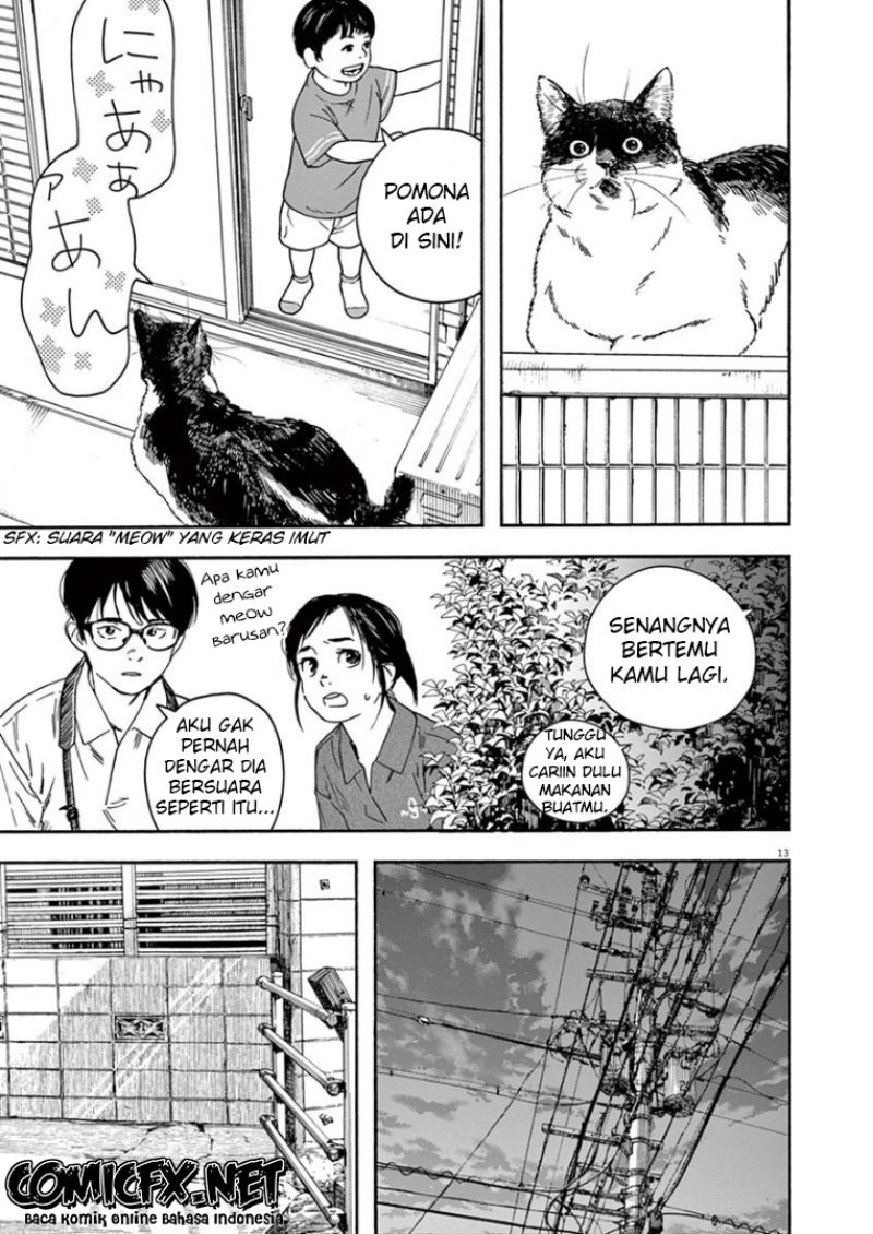 Kimi wa Houkago Insomnia Chapter 39 - halaman 14