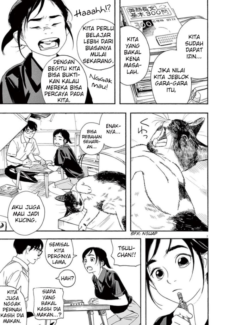 Kimi wa Houkago Insomnia Chapter 39 - halaman 8