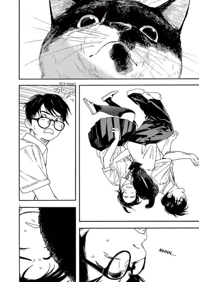 Kimi wa Houkago Insomnia Chapter 9 - halaman 5