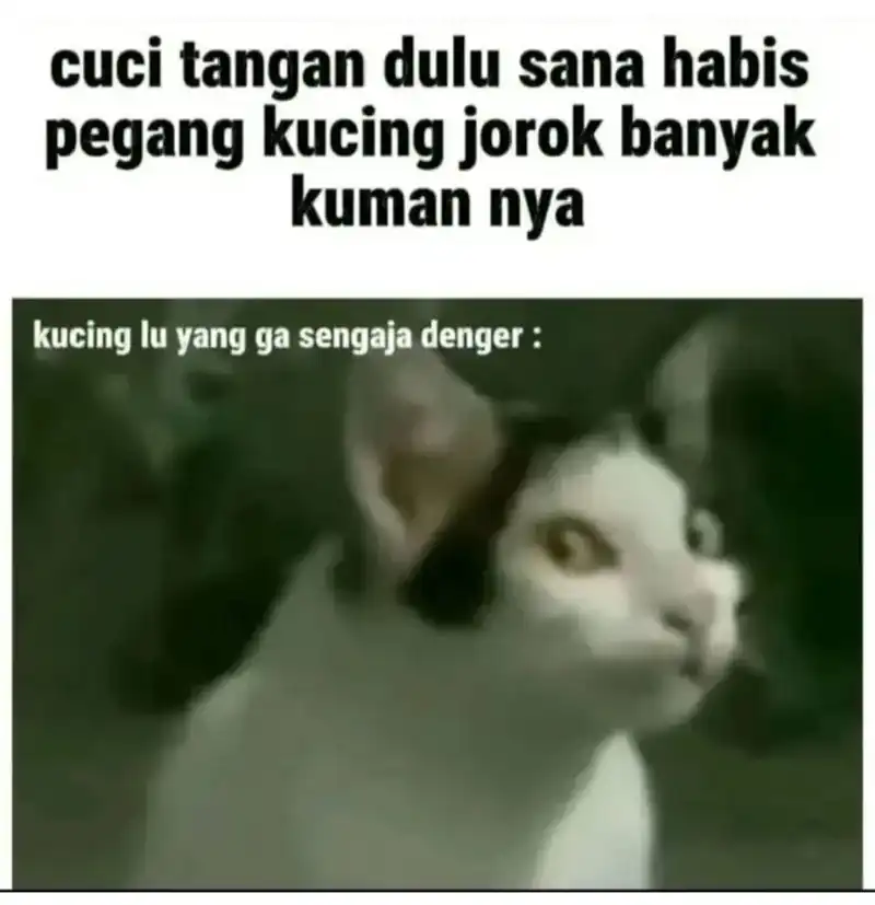 King Account At The Start Chapter 346 - halaman 17