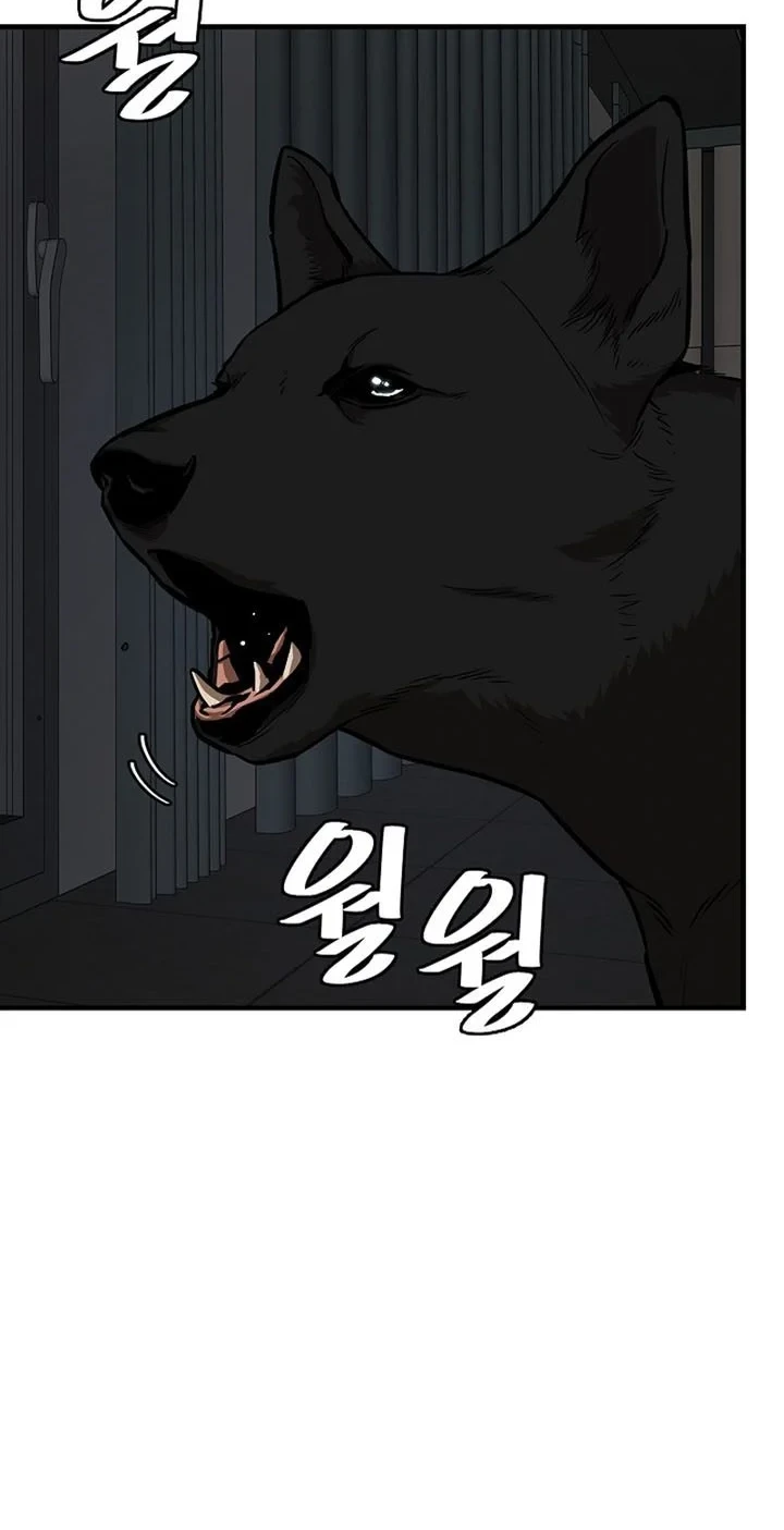 Kingdom Chapter 505 - halaman 5