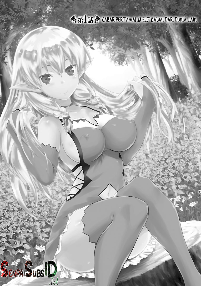 Konna Elf ni You wa Nai! Chapter 1 - halaman 4