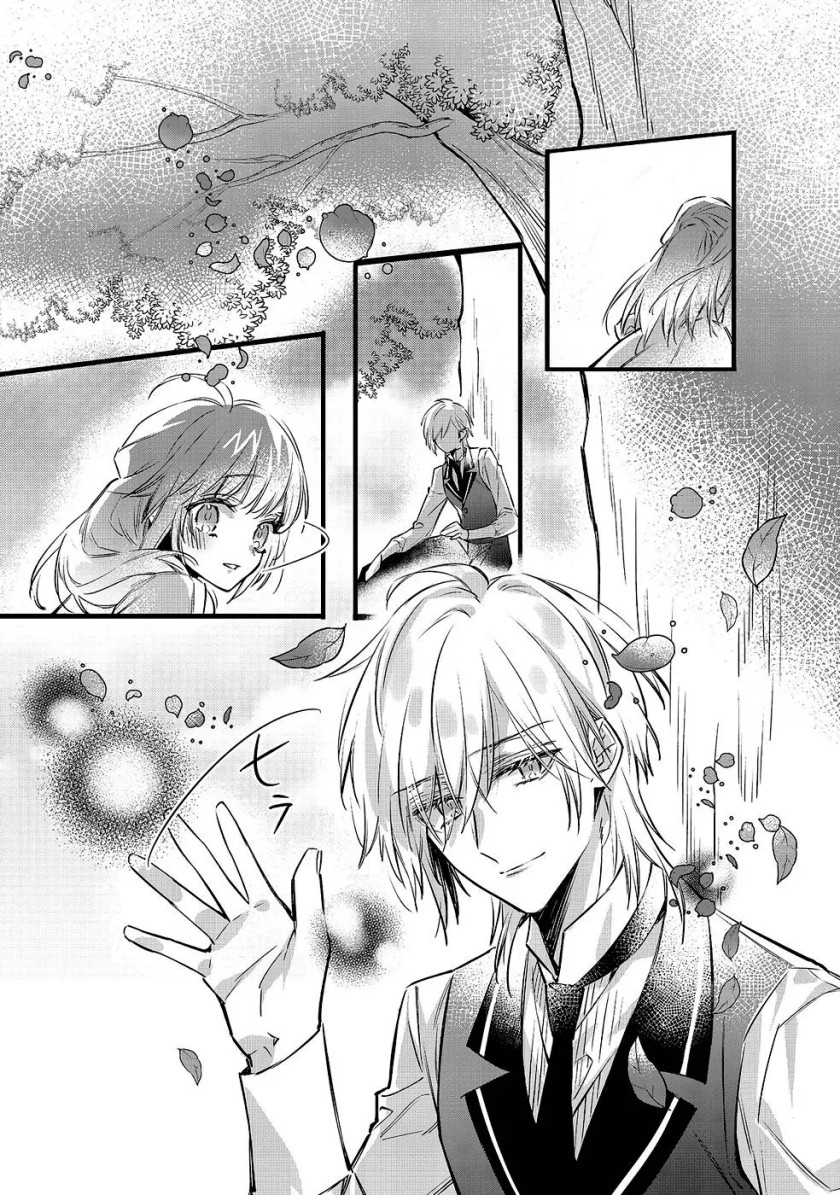 Konyaku Haki Sareta Kaedama Reijou, Hatsukoi no Toshiue Ouji ni Dekiai Sareru Chapter 1 - halaman 19